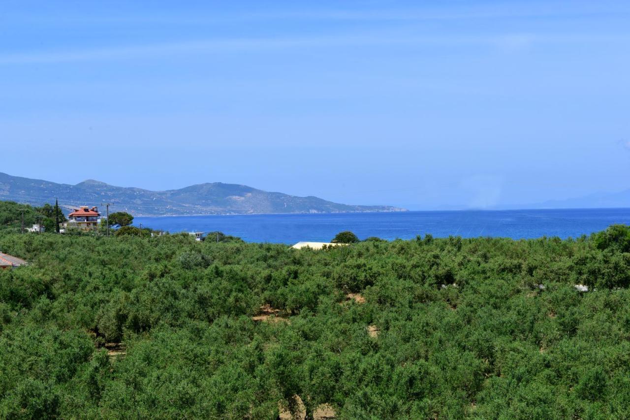 Asteria Apartments Zakynthos Exterior foto